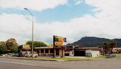 Cabbage Tree Hotel - Accommodation Guide 0
