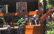 Samford Valley Hotel - thumb 2