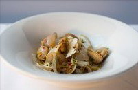 JAM Corner - Accommodation Guide 2