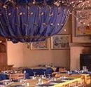 Fishy Affair - Accommodation Asia
