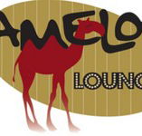 Camelot Lounge - Accommodation Guide