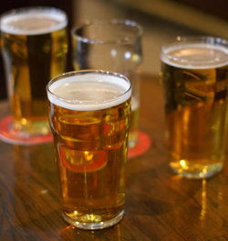 The Great Northern Hotel - Grafton - Accommodation Guide 1