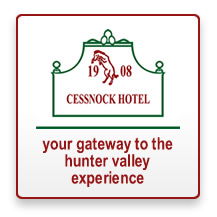 The Cessnock Hotel - Accommodation Asia 2