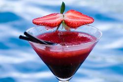 Blue Mango Wine Bar - Accommodation Guide 2