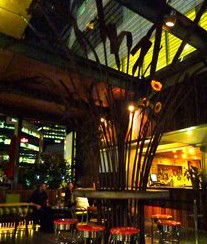Treehouse Hotel - Accommodation Asia 2