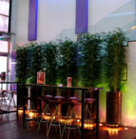 Leichhardt Hotel - Accommodation China 3