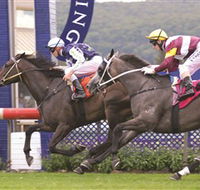 Gosford Race Club - Accommodation Asia