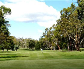Cooma Golf Club - Accommodation Asia 0