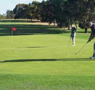 Waikerie Golf Club - Accommodation Asia