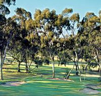 Tanunda Pines Golf Club - Accommodation China