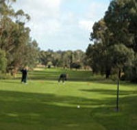 Mount Gambier Golf Club - Accommodation China