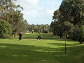 Mount Gambier Golf Club - Accommodation China 0