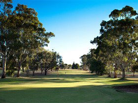 Loxton SA Accommodation China