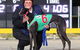 Bulli Greyhound Racing Club - thumb 0