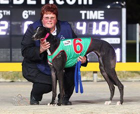 Bulli Greyhound Racing Club - Accommodation Asia 0