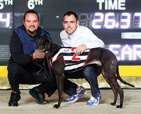 Bulli Greyhound Racing Club - Accommodation Asia 1