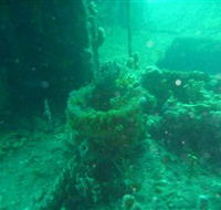 Wallaroo Scuba Club - Accommodation Guide