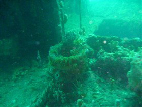 Wallaroo Scuba Club - Accommodation China 0