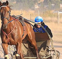 Ballarat  District Trotting Club - Accommodation Asia