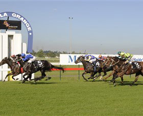 Kembla Heights NSW Accommodation China