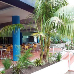 Forster NSW Accommodation Guide