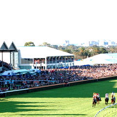 Morphettville SA Accommodation Guide