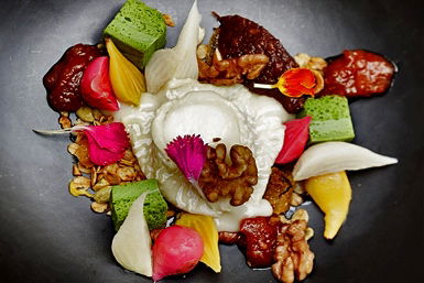 Botanical Hotel - Accommodation Asia 0
