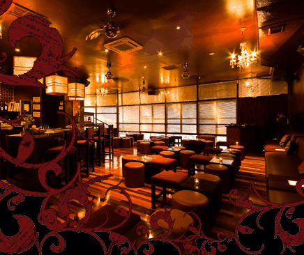 Hippo Lounge Bar - Accommodation Asia