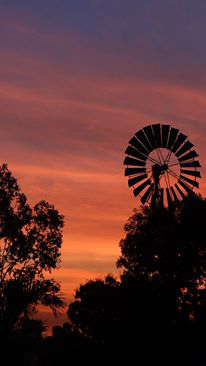 Emerald Springs Roadhouse - Accommodation Guide 5