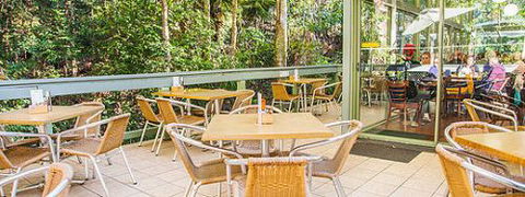 Rainforest Cafe (Sea Acres) - Accommodation China 1