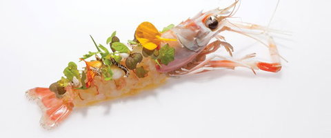 Oscillate Wildly - Accommodation Asia 1