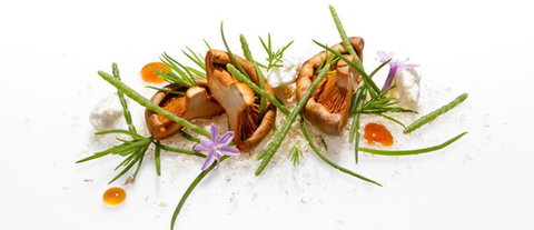 Oscillate Wildly - Accommodation Asia 2