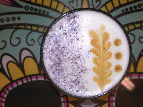 Yogolicious - Accommodation Guide 4