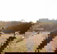 Arcadia - Accommodation Guide