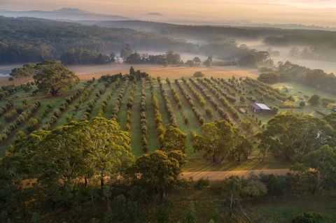 A Taste Of Truffles - Accommodation Guide 1