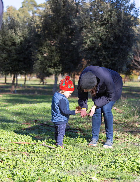 A Taste Of Truffles - Accommodation Guide 2