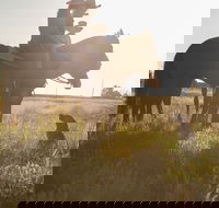 Balonne Cutting Horse Futurity - Accommodation Guide