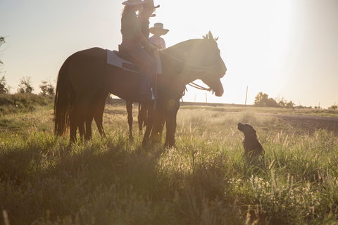 Balonne Cutting Horse Futurity - Accommodation Asia 0