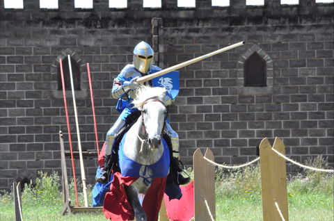 Baroque Horse Festival - Accommodation Guide 1