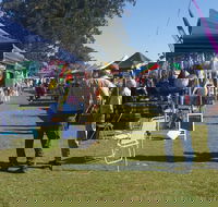 Casino Golf Club Markets - Accommodation Guide