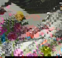 Dalgety Show - Accommodation Guide