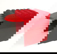 Differing Perspectives - Accommodation Guide