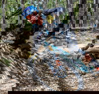 Fox Superflow sealed by Stan's Race  Ipswich - Accommodation Guide