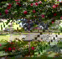 Griffith Spring Fest - Accommodation Guide