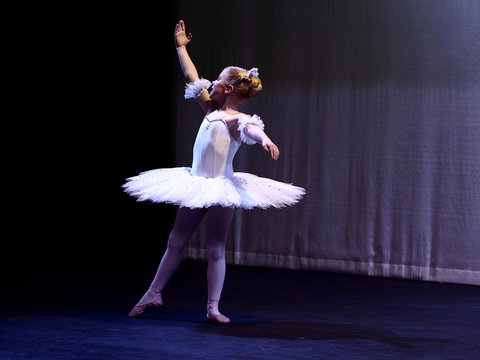 Hamilton Eisteddfod - Accommodation Guide 2