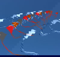 Harden Kite Festival - Accommodation Asia