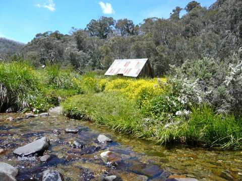 Hedonistic Hiking's Falls Creek To Hotham - Accommodation China 0