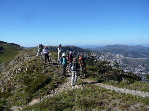 Hedonistic Hiking's Falls Creek To Hotham - Accommodation China 1