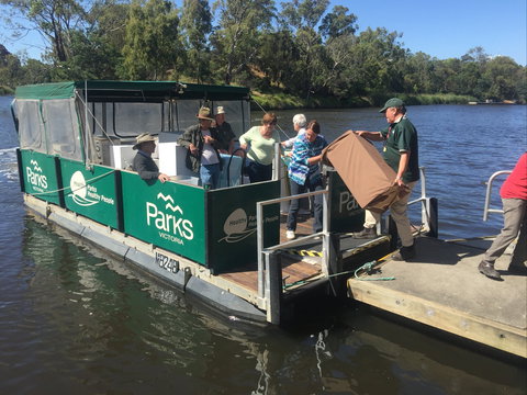 Herring Island Summer Arts Festival - Accommodation China 1