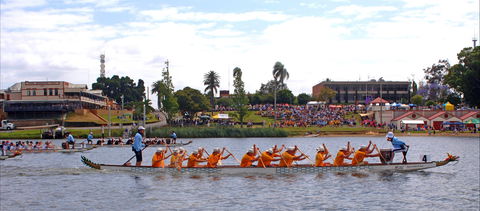 Jacaranda Dragon Boat Races - Accommodation Guide 0